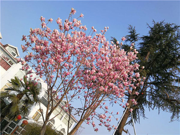 天久實(shí)業(yè)